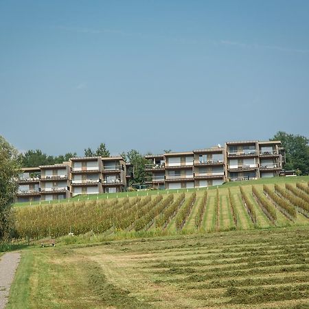 Апартаменты Wohnen Im Wein Эренхаузен Экстерьер фото